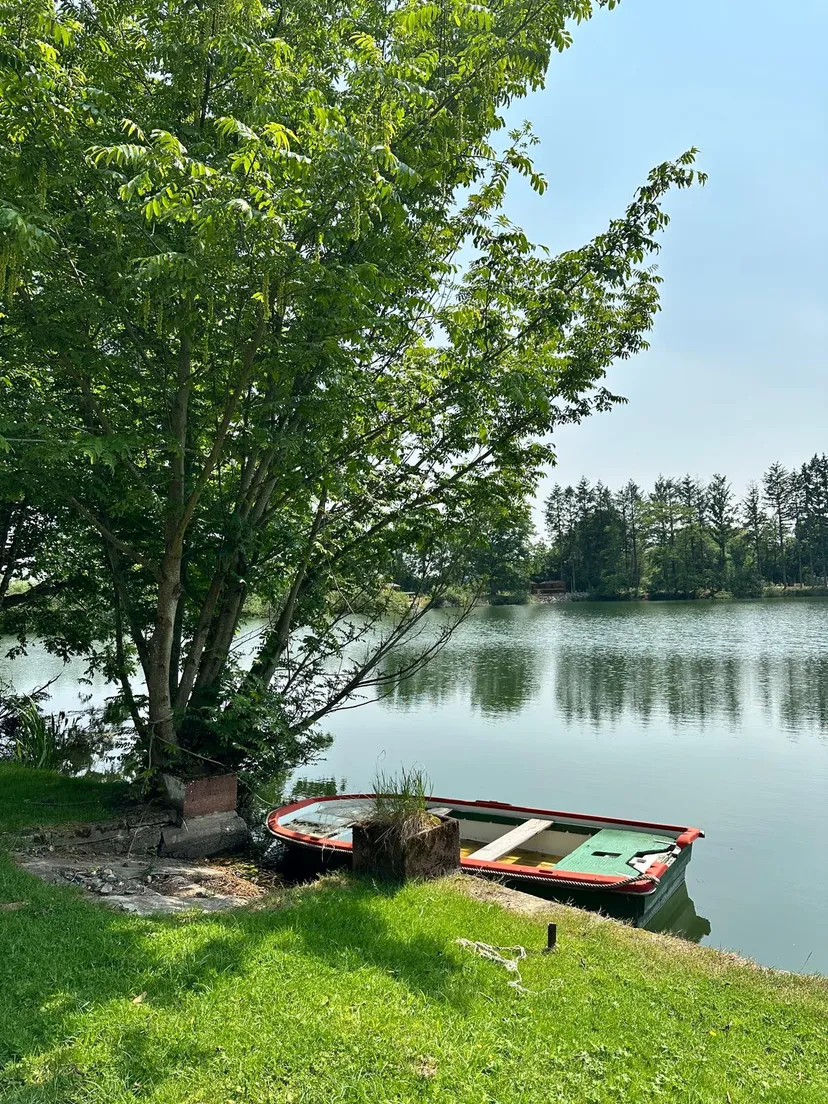 Cabane pour 4 personnes avec étang de pêche très poissonneux