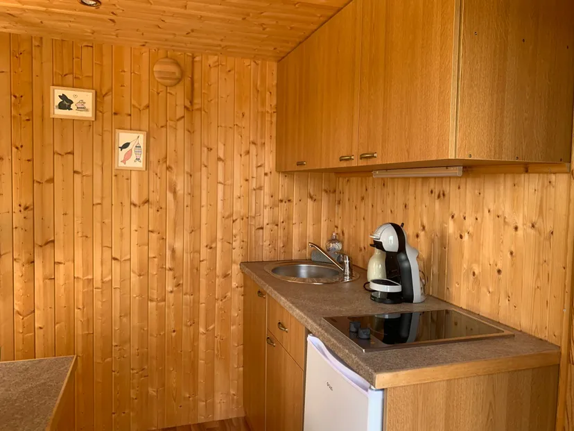Cabane pour 4 personnes avec étang de pêche très poissonneux