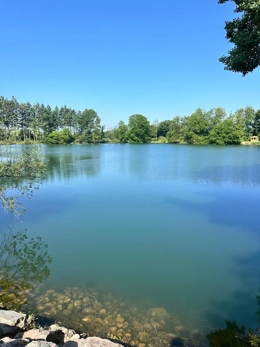 Cabane pour 4 personnes avec étang de pêche très poissonneux