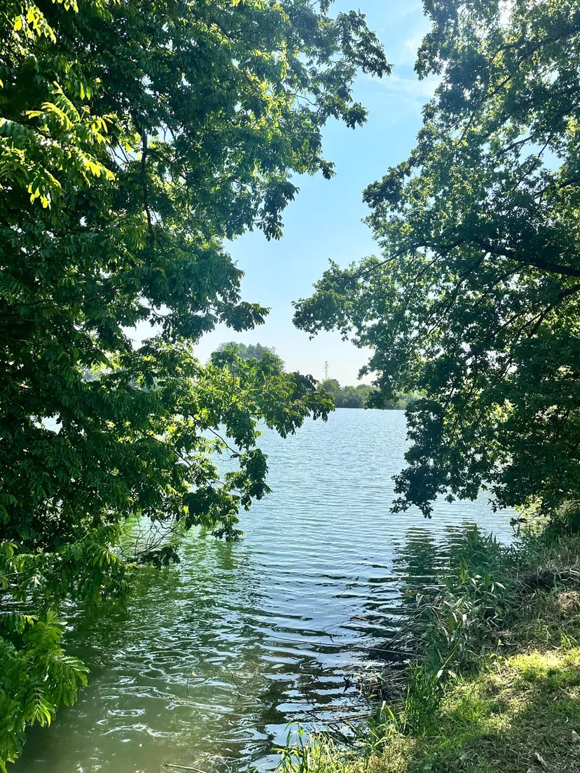 Cabane pour 4 personnes avec étang de pêche très poissonneux