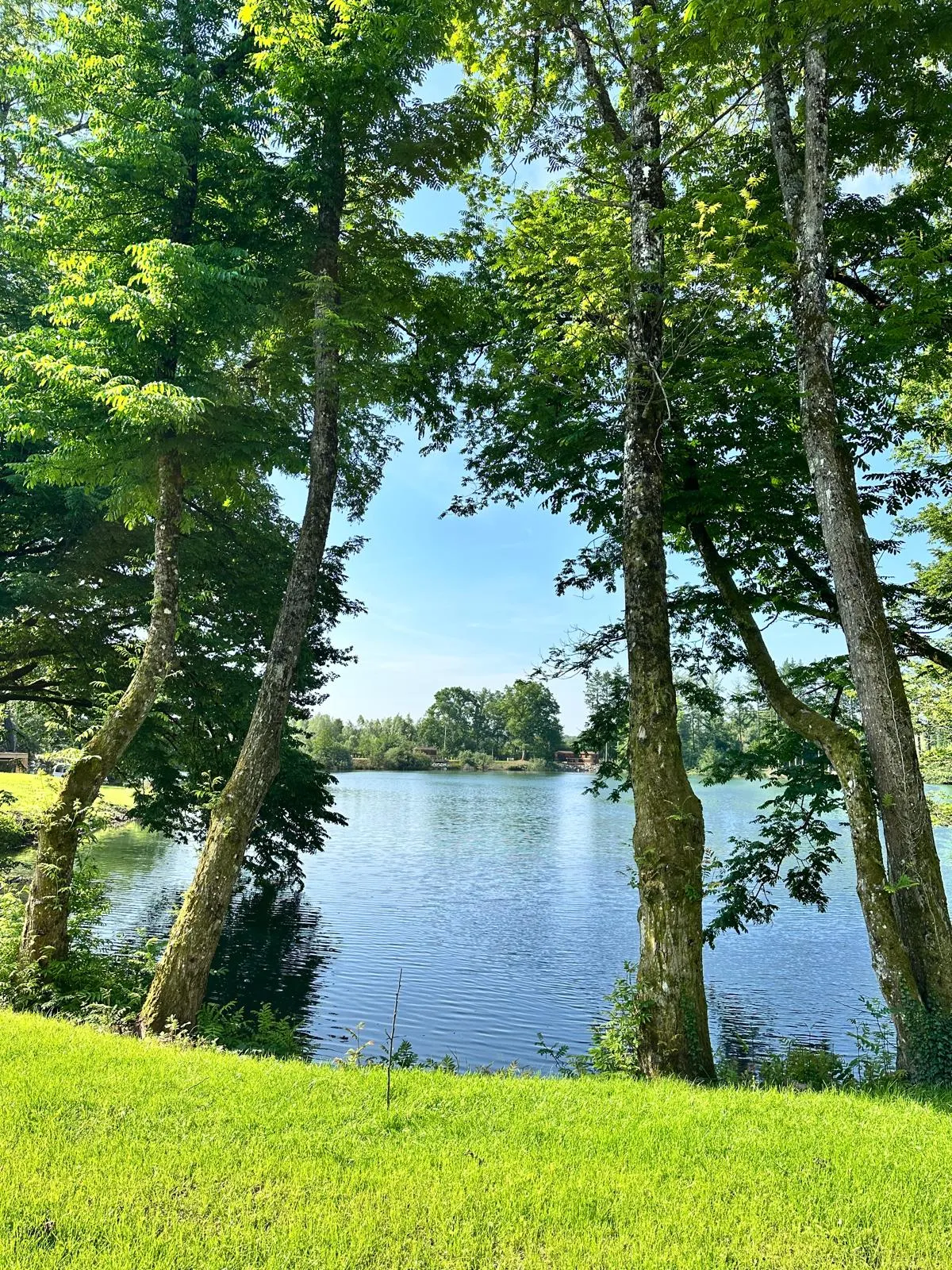 Maison 9 personnes avec vue imprenable sur l’étang, pêche & grands événements