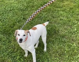 Christophe Van-belleghem