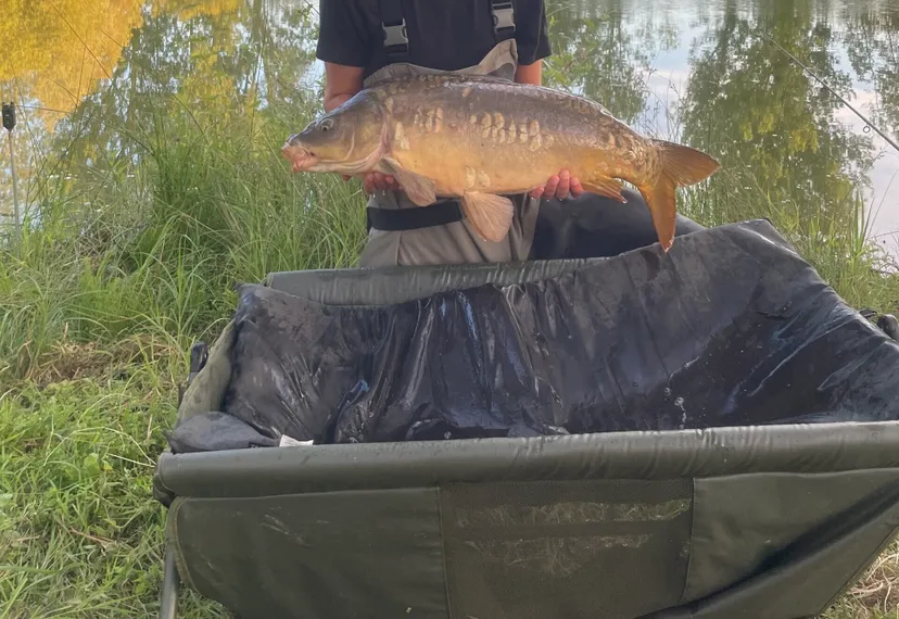 Etang de pêche à louer à côté de Reims
