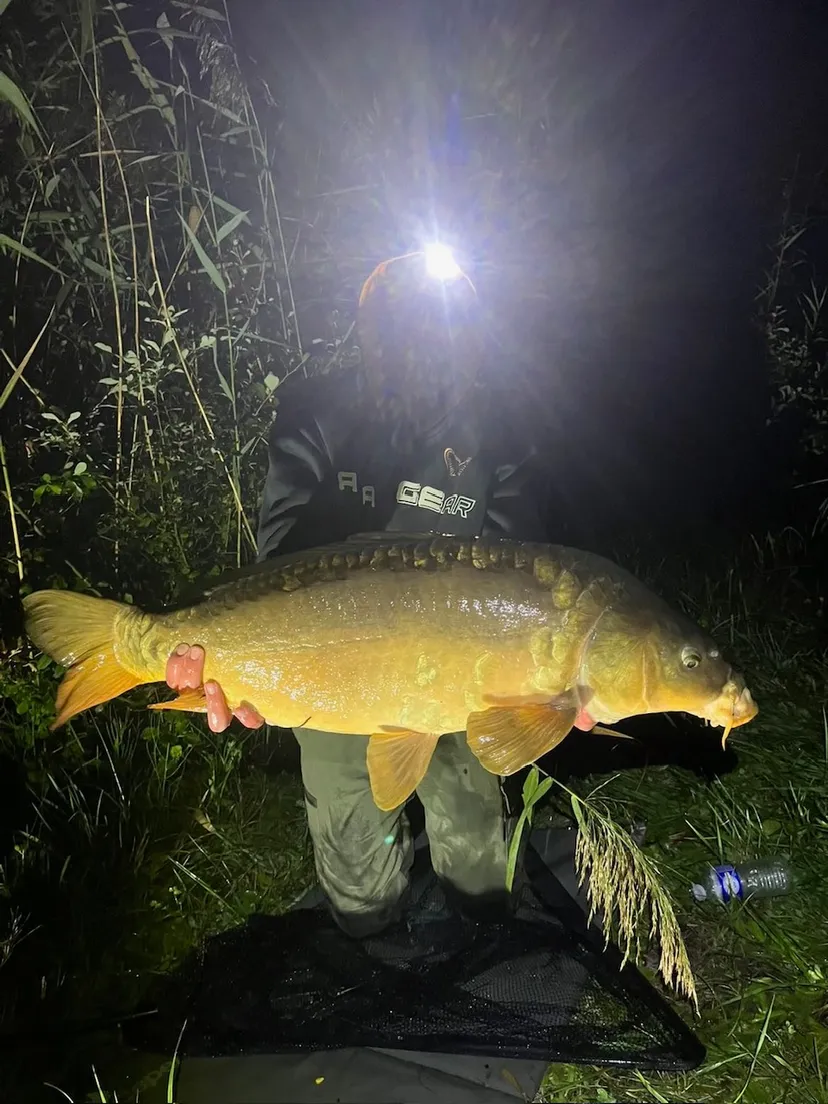 Etang de pêche à louer à côté de Reims