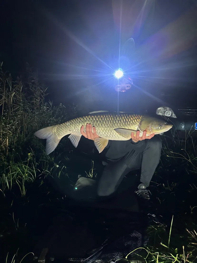 Etang de pêche à louer à côté de Reims