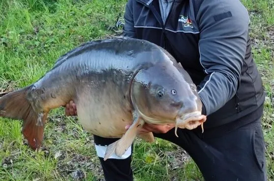 Etang de pêche à louer à côté de Reims
