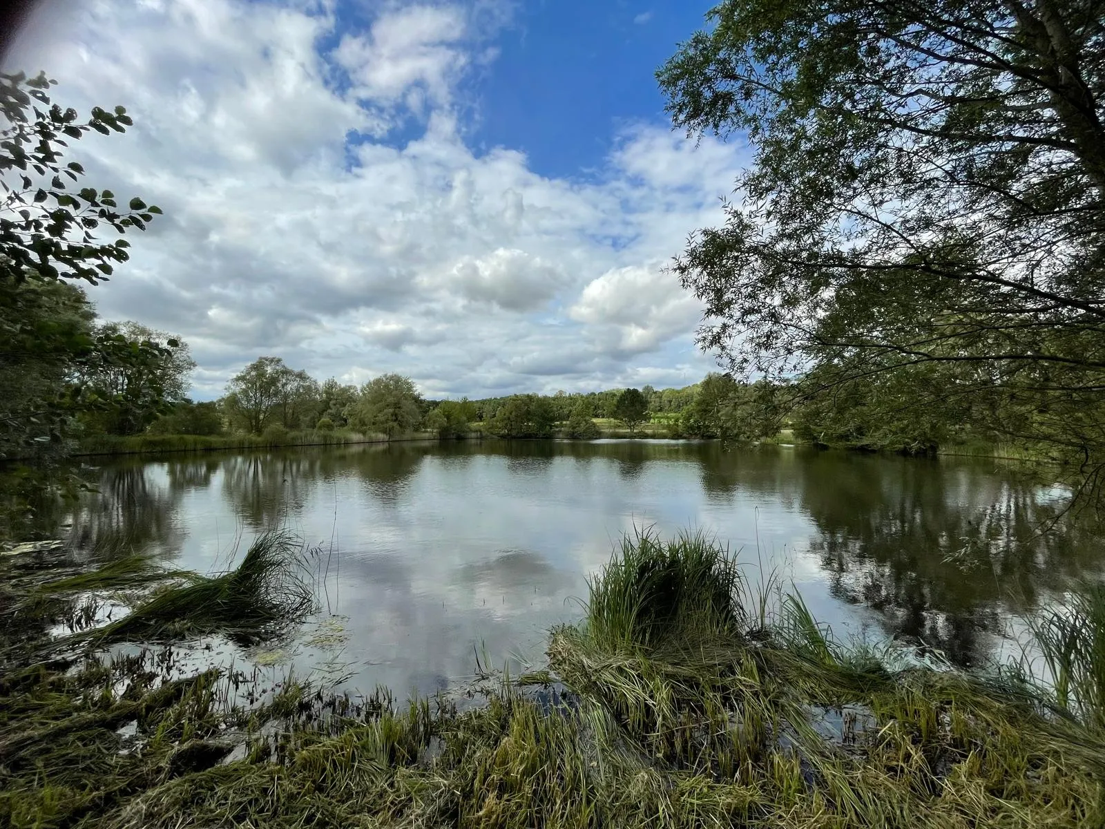 Private pond rental 12.43 miles from Reims, very large population of carnassiers