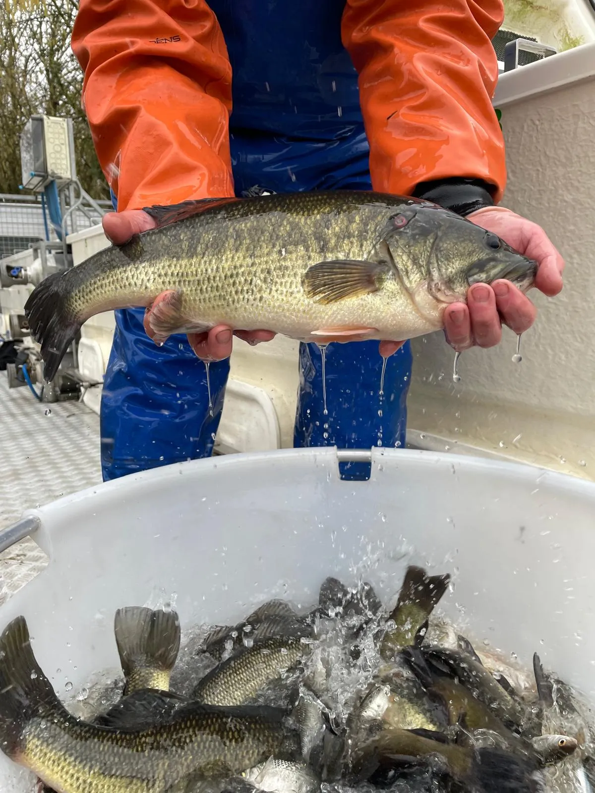 Private pond rental 12.43 miles from Reims, very large population of carnassiers