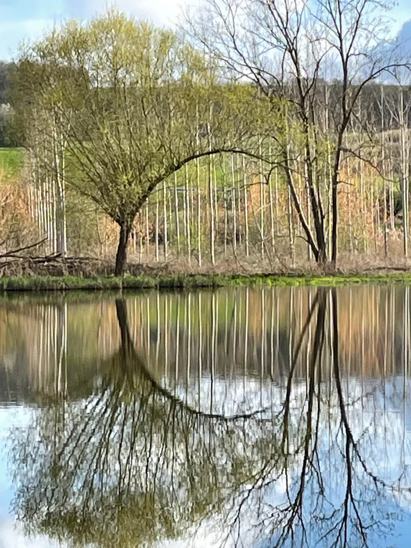 Location étang privé à 20km de Reims, très forte population de carnassiers
