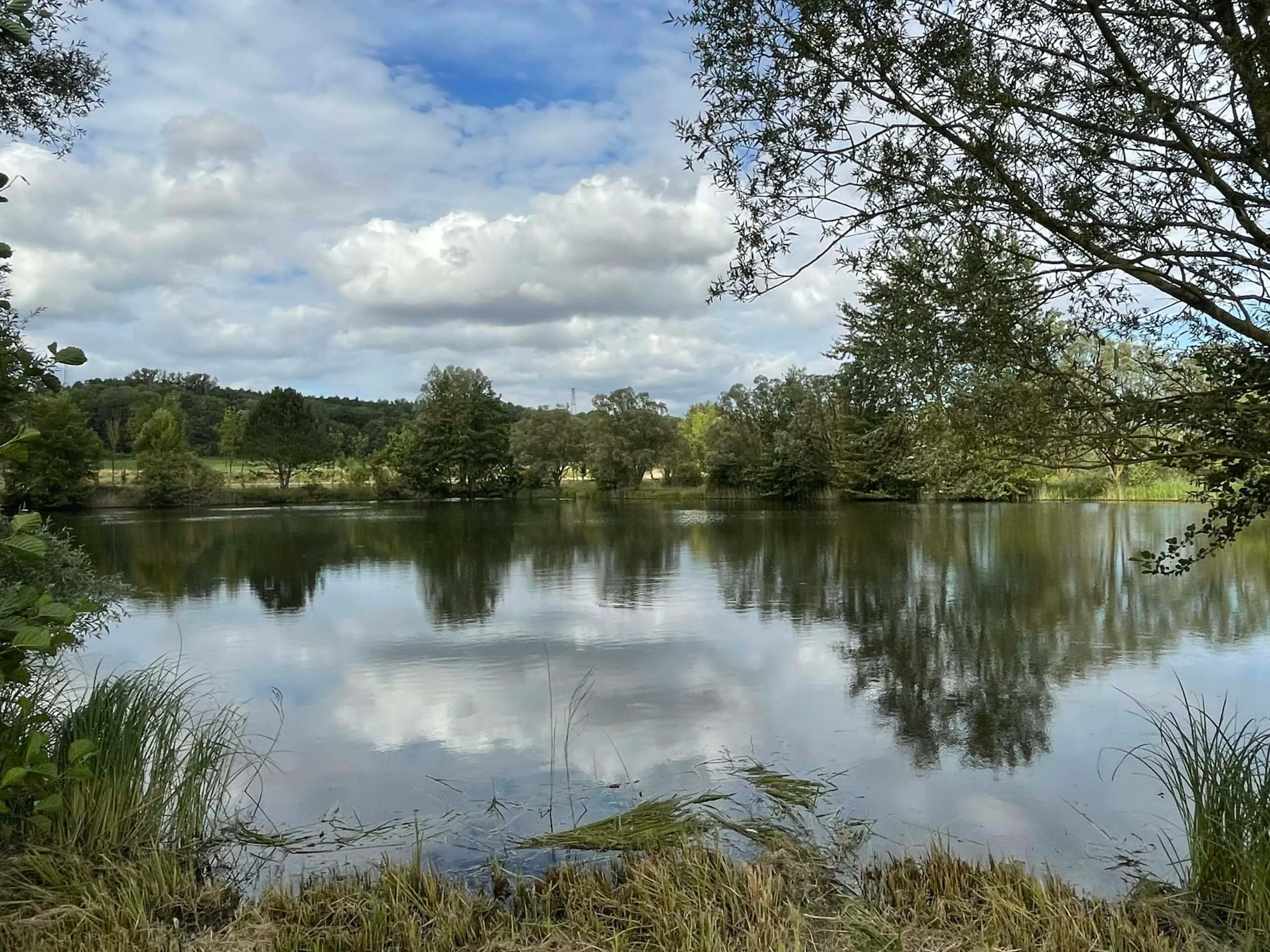 Etang de pêche à louer à côté de Reims