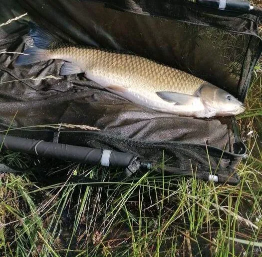 Etang de pêche à louer à côté de Reims