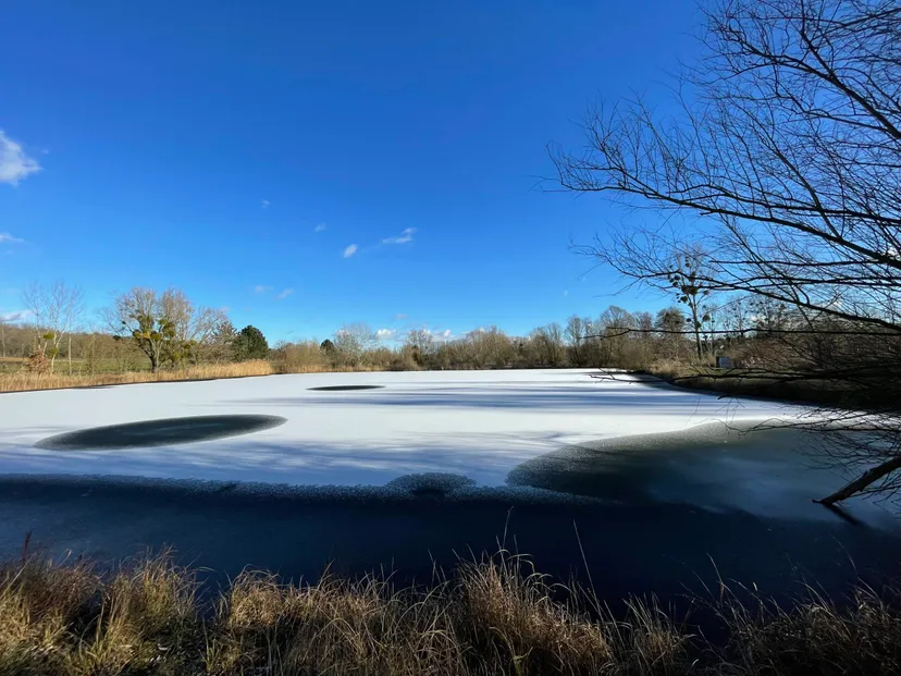 Etang de pêche à louer à côté de Reims