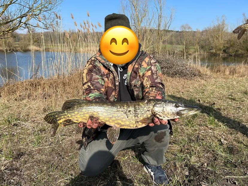Etang de pêche à louer à côté de Reims