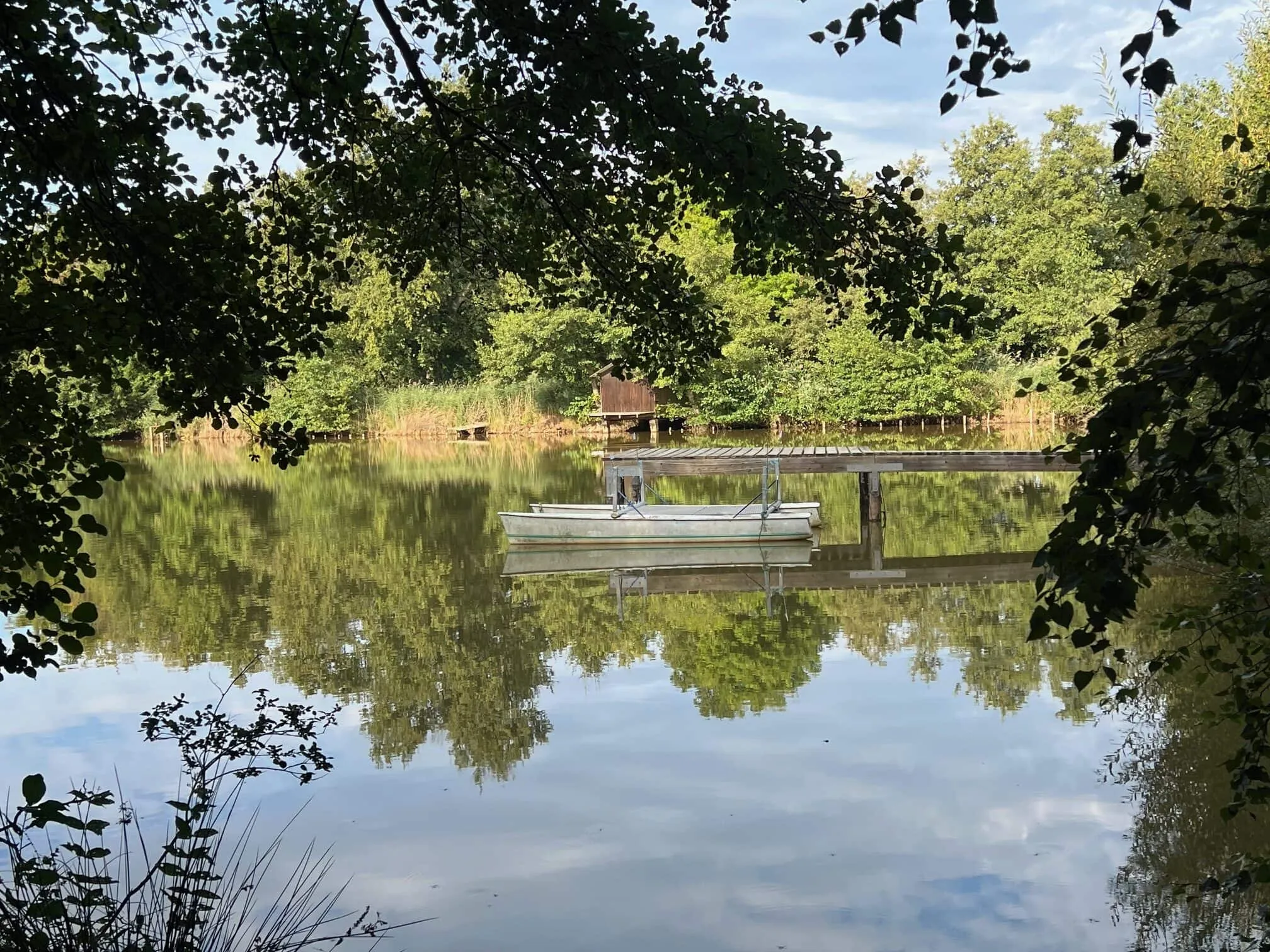 Etang à louer en Isère pour stationner votre camping-car et pêcher