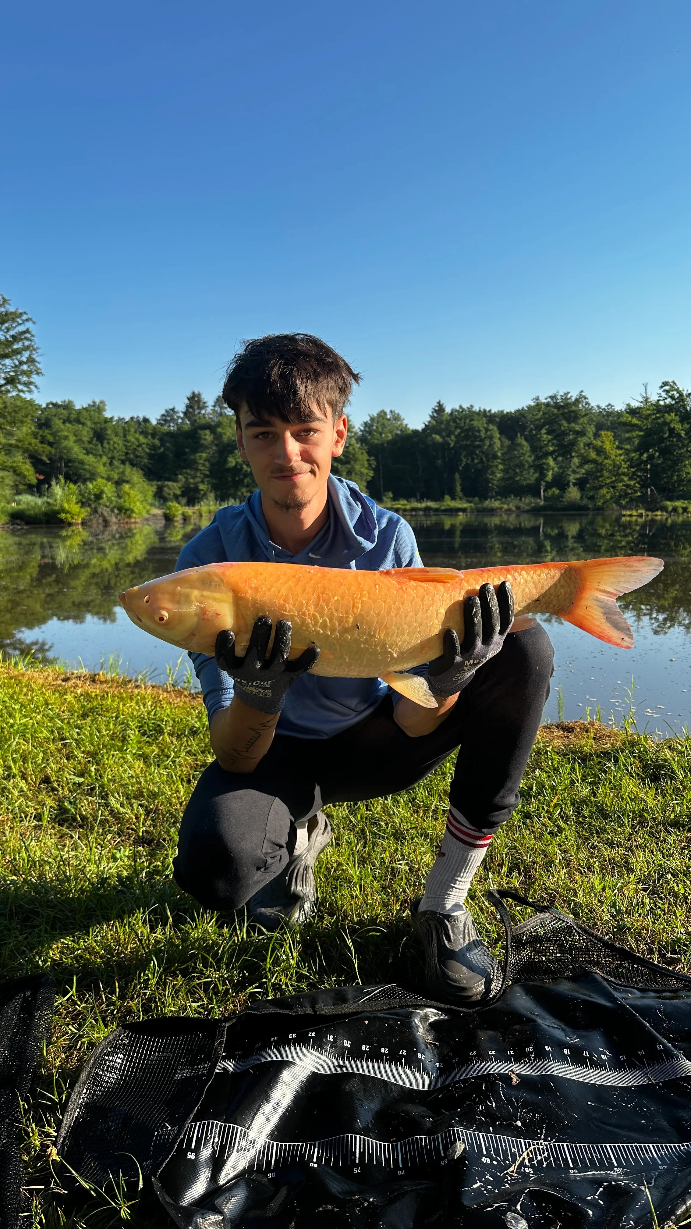 Gîte tout confort avec étang privé aux portes de Belfort