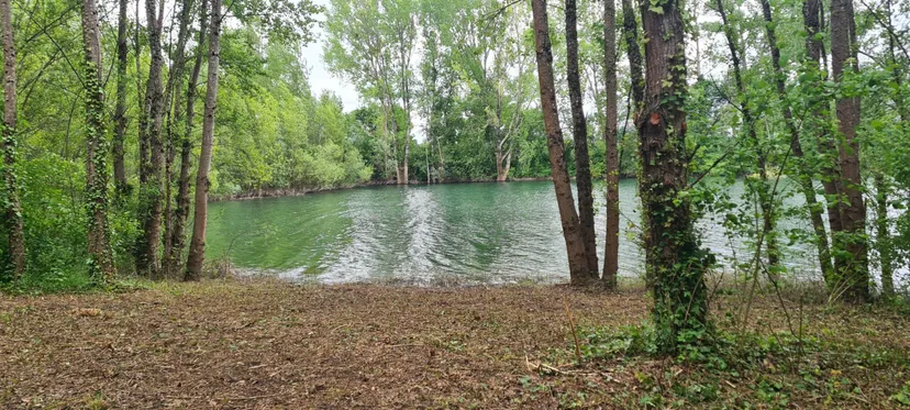 Plan d'eau de 17ha à 40km de Bordeaux pour une journée pêche et loisirs