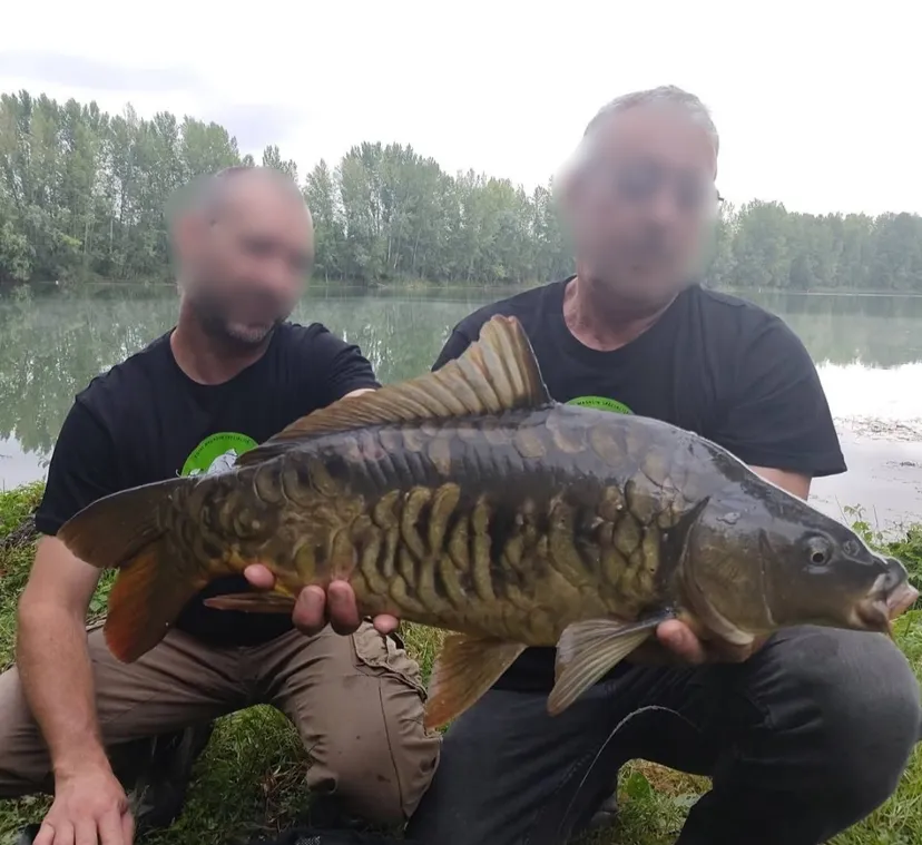 Poste de pêche au bord d'un plan d'eau privé de 17ha