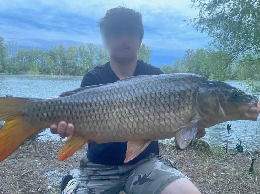 Poste de pêche au bord d'un plan d'eau privé de 17ha