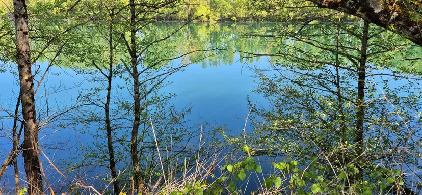 Poste de pêche au bord d'un plan d'eau privé de 17ha