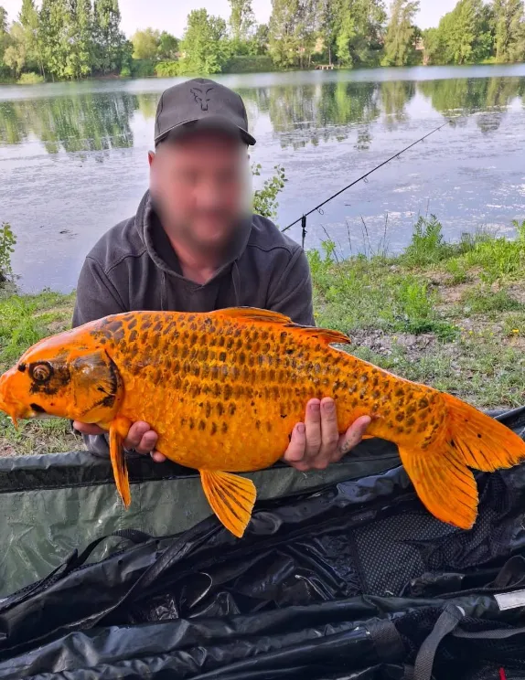 Poste de pêche au bord d'un plan d'eau privé de 17ha