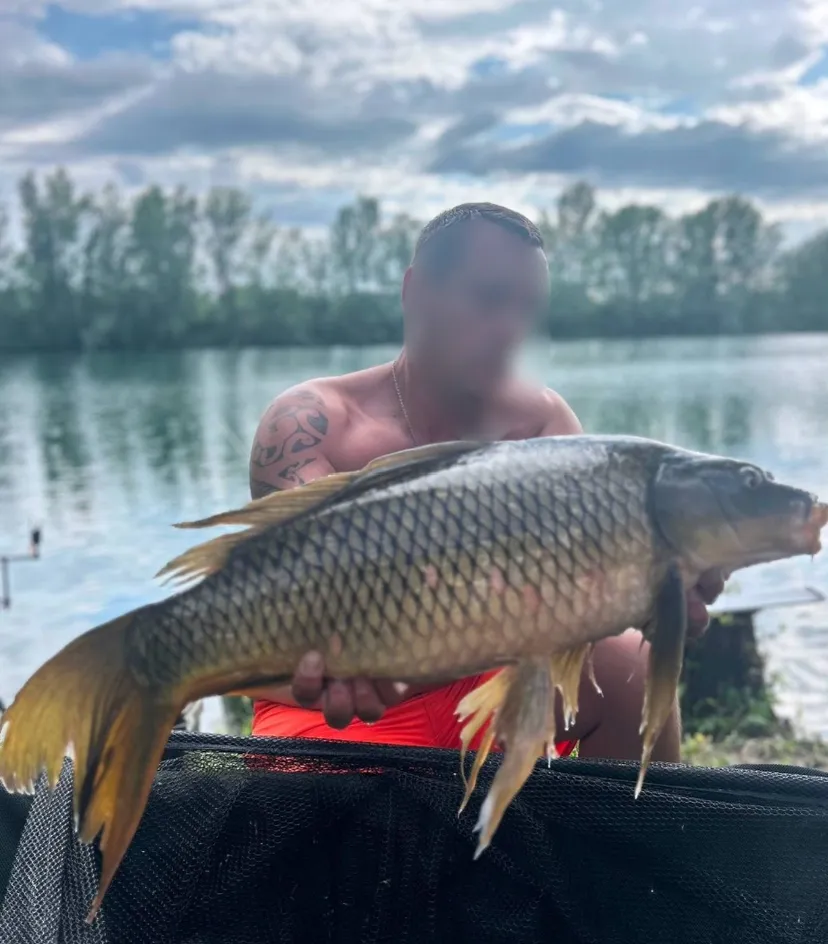 Poste de pêche au bord d'un plan d'eau privé de 17ha