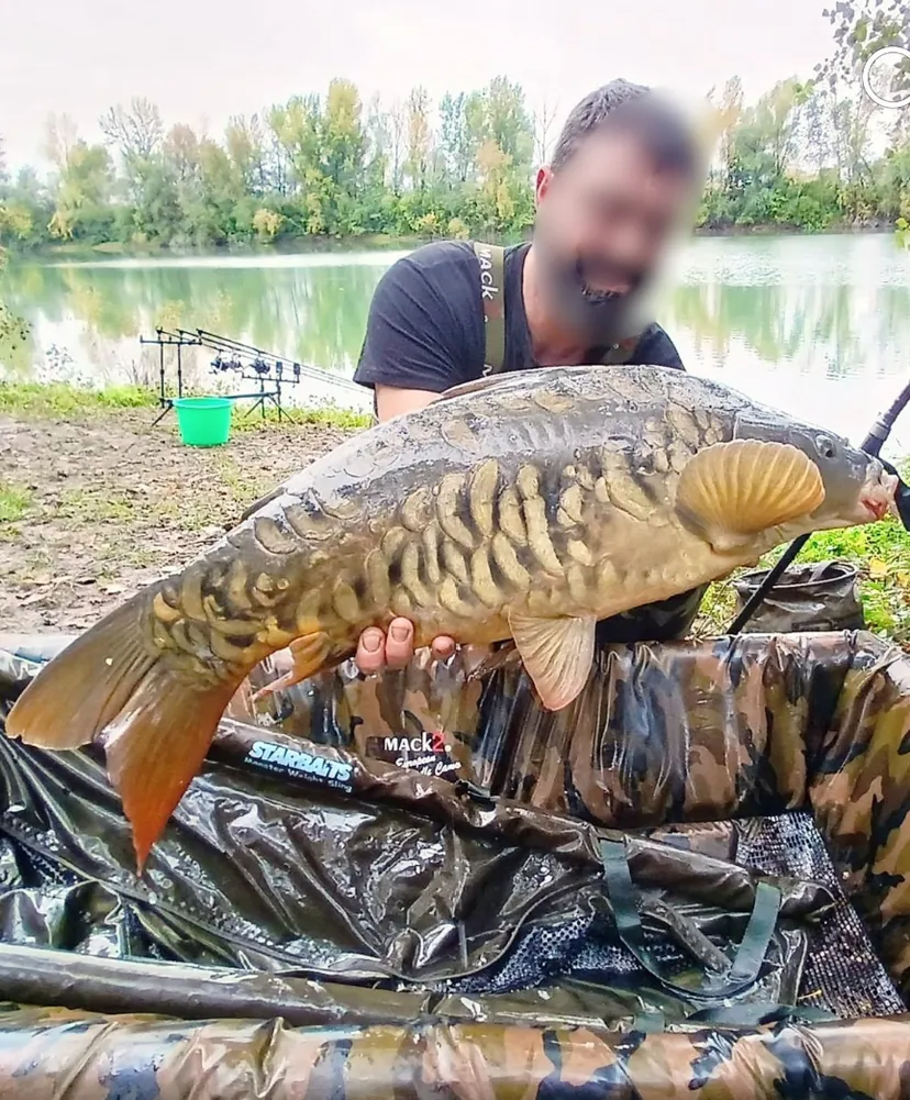 Poste de pêche au bord d'un plan d'eau privé de 17ha