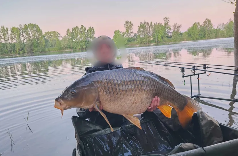 Poste de pêche au bord d'un plan d'eau privé de 17ha