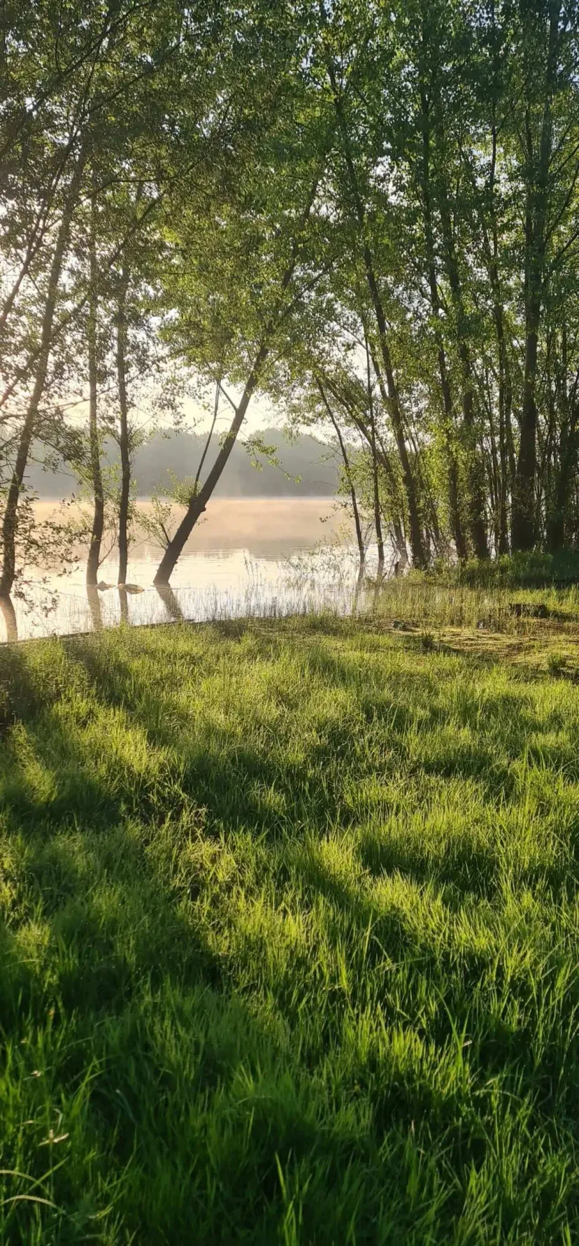 Plan d'eau de 17 hectares à la journée près de Bordeaux