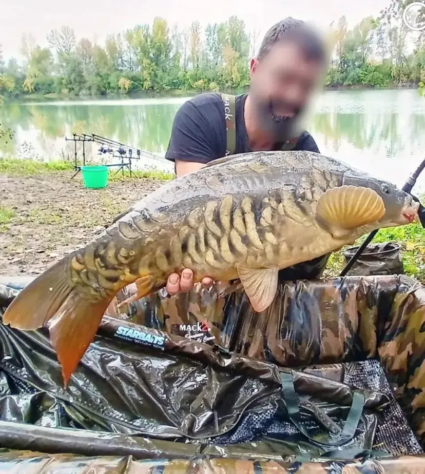 Poste de pêche privatif de 17ha proche de Bordeaux