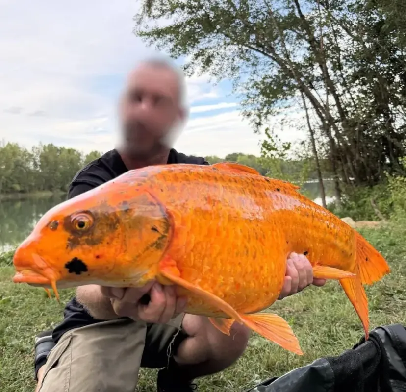 Poste de pêche privatif de 17ha proche de Bordeaux