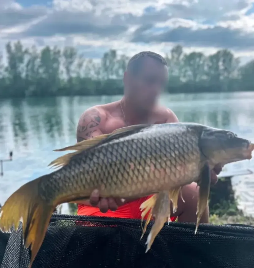 Poste de pêche privatif de 17ha proche de Bordeaux