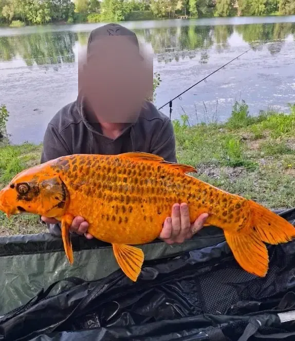Poste de pêche privatif de 17ha proche de Bordeaux