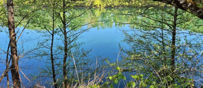 Poste de pêche privatif de 17ha proche de Bordeaux