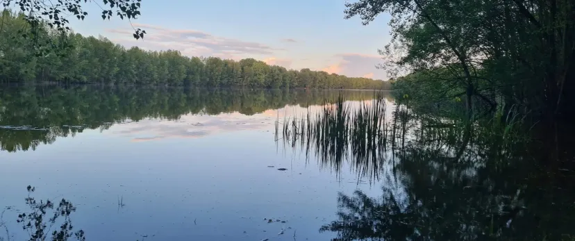 Poste de pêche privatif de 17ha proche de Bordeaux