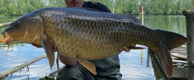 Plan d'eau de 17ha à 40km de Bordeaux pour une journée pêche et loisirs
