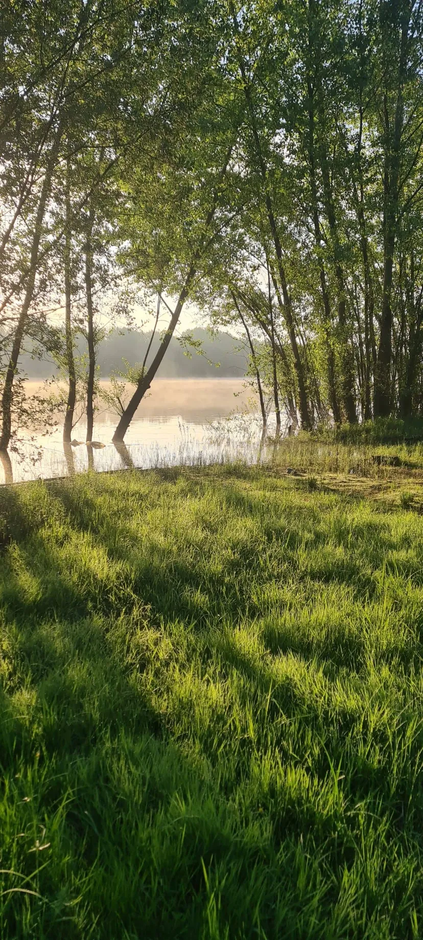 Plan d'eau de 17ha à 40km de Bordeaux pour une journée pêche et loisirs