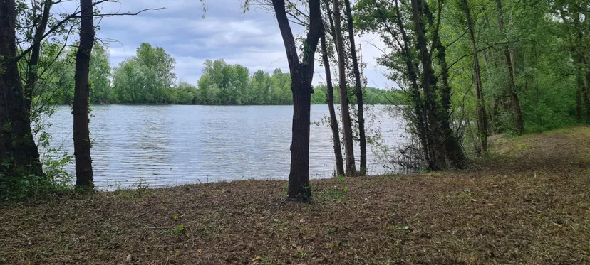 Plan d'eau de 17ha à 40km de Bordeaux pour une journée pêche et loisirs