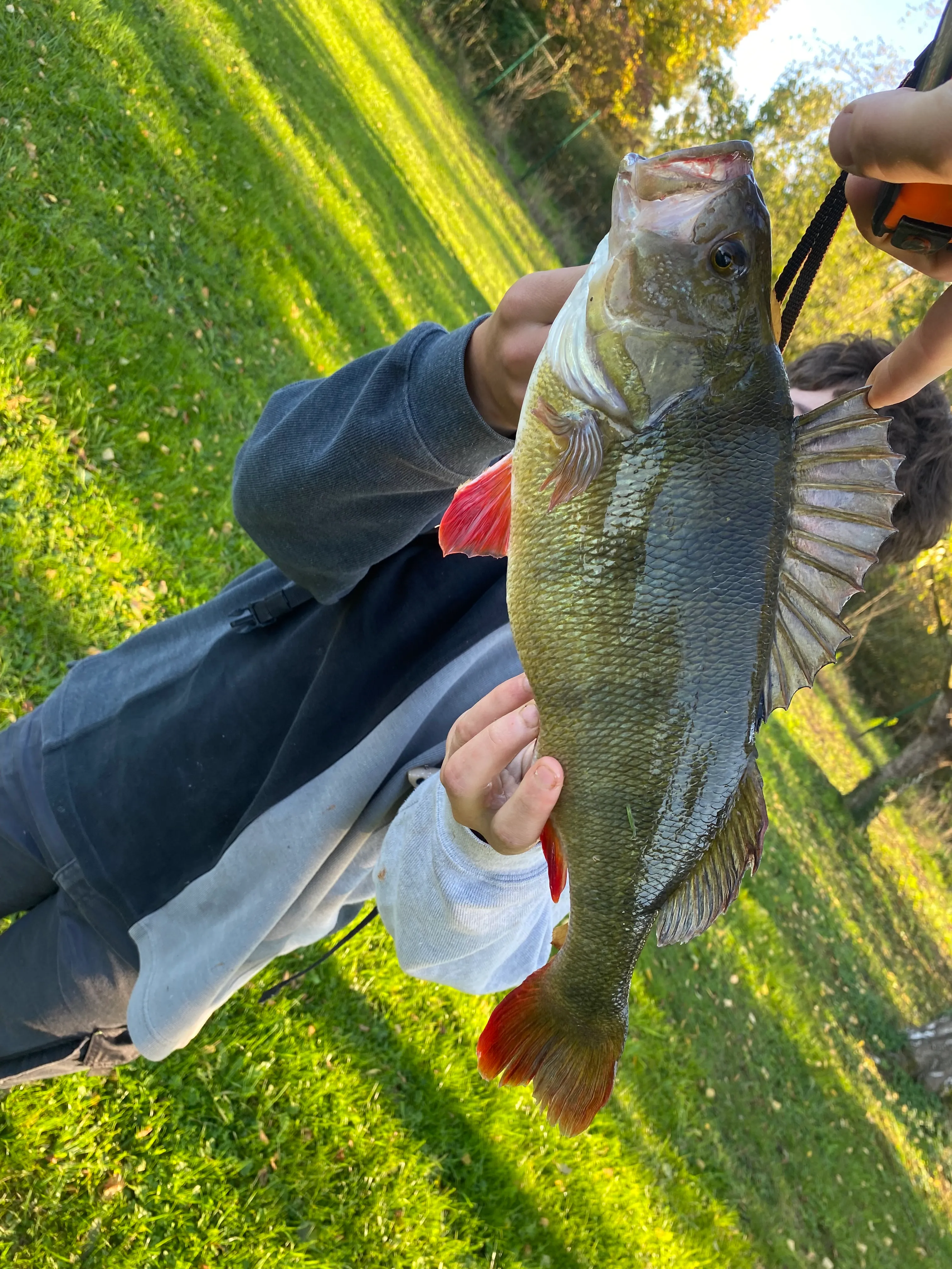 Étang sauvage de 2,7 ha avec maison tout équipée – Spot idéal pour les amateurs de carnassiers en fl
