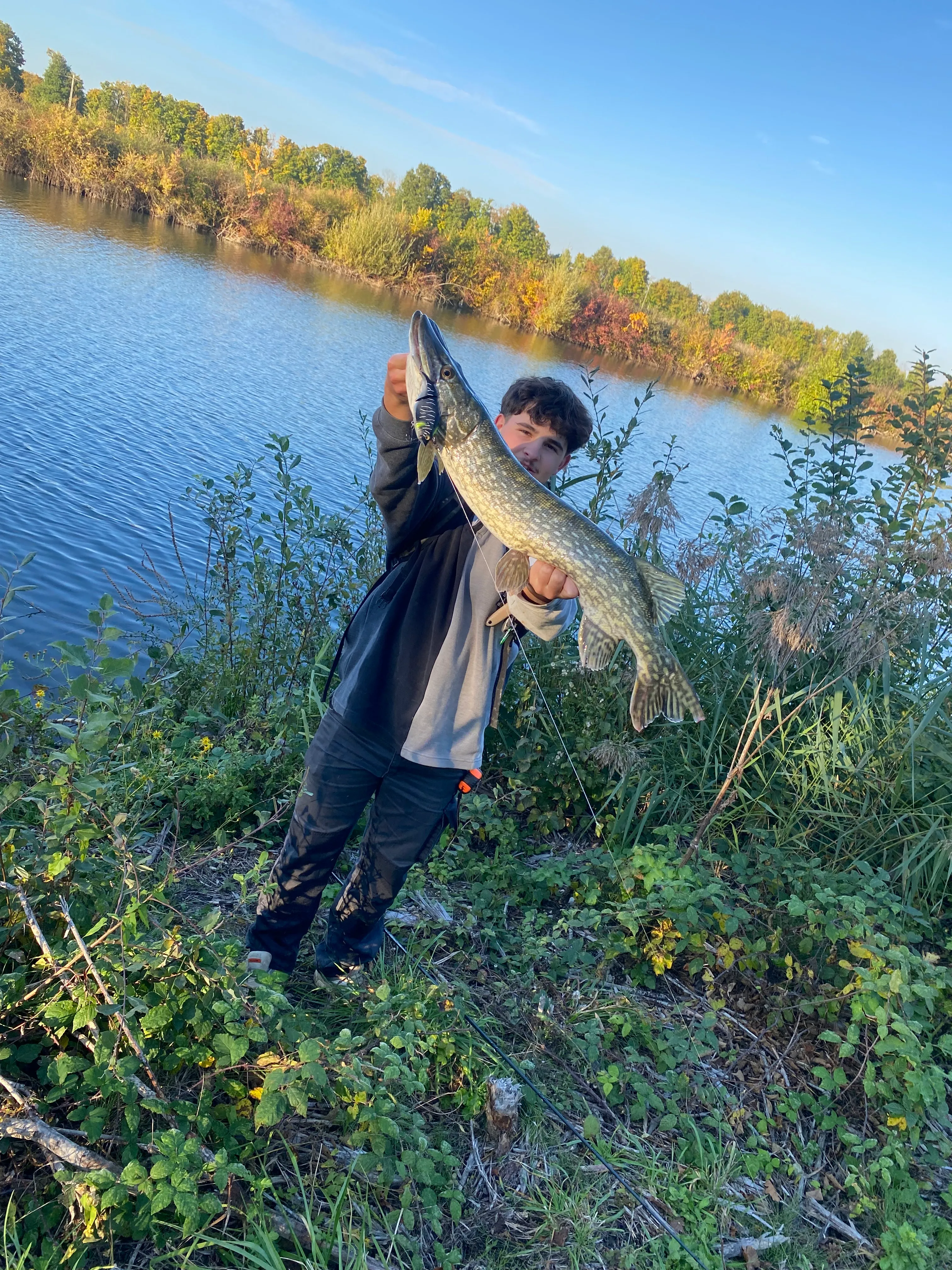 Étang sauvage de 2,7 ha avec maison tout équipée – Spot idéal pour les amateurs de carnassiers en fl
