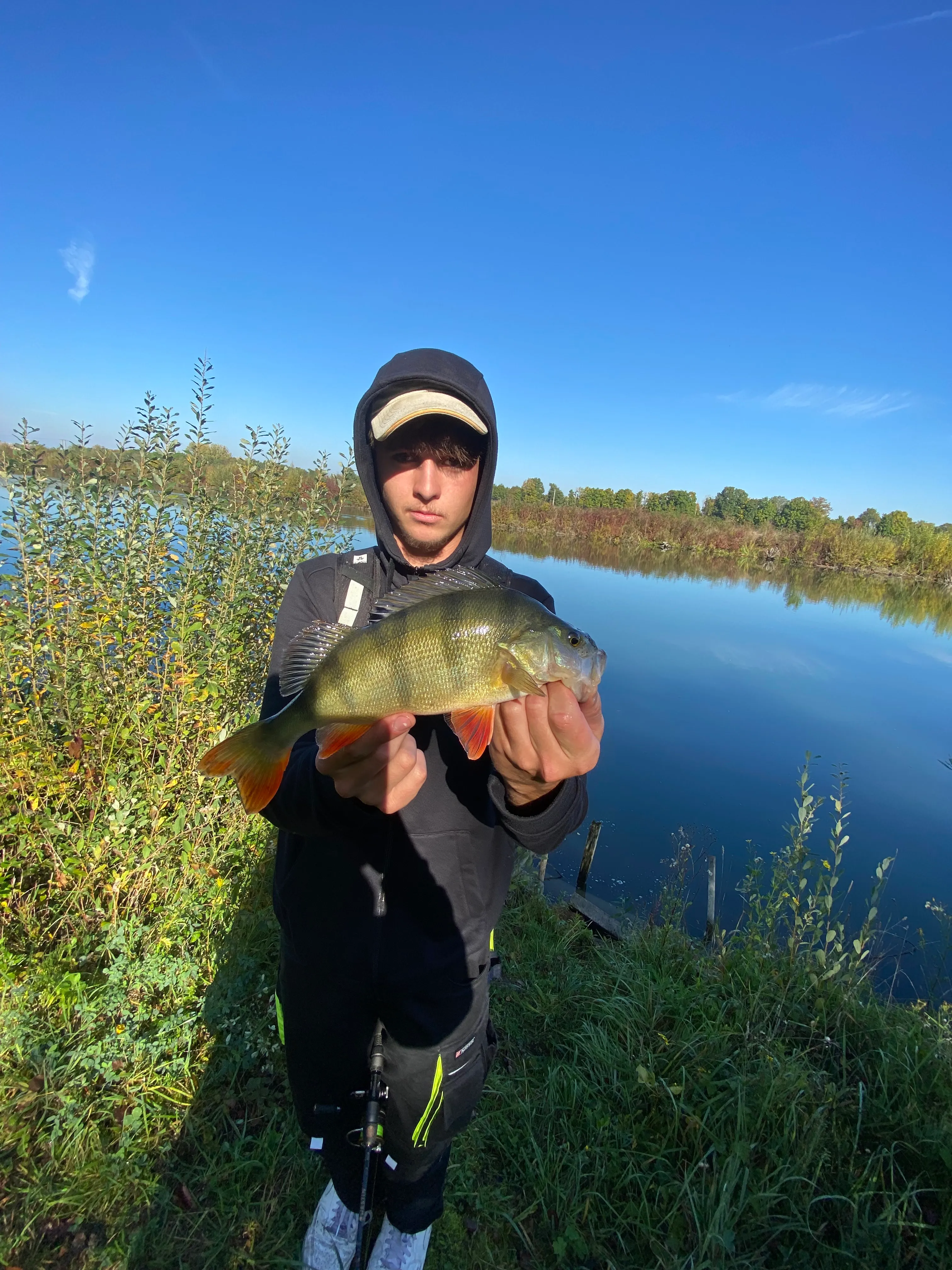 Étang sauvage de 2,7 ha avec maison tout équipée – Spot idéal pour les amateurs de carnassiers en fl