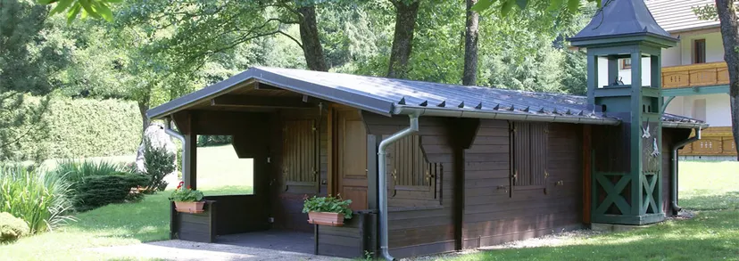 Chalet 4 couchages avec sa piscine et son étang P