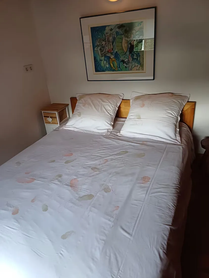 Chalet pour 5 personnes avec étang, près de Belfort L
