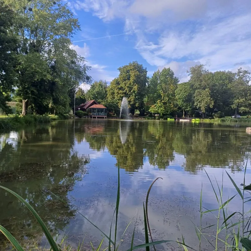 Chalet pour 5 personnes avec étang, près de Belfort L