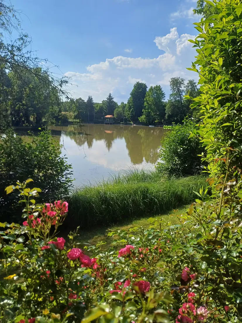 Roulotte avec étang de 1 hectare, près de Belfort