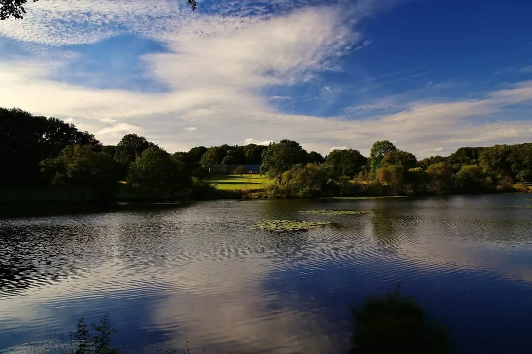 Gîte 12 couchages avec son étang de 3ha