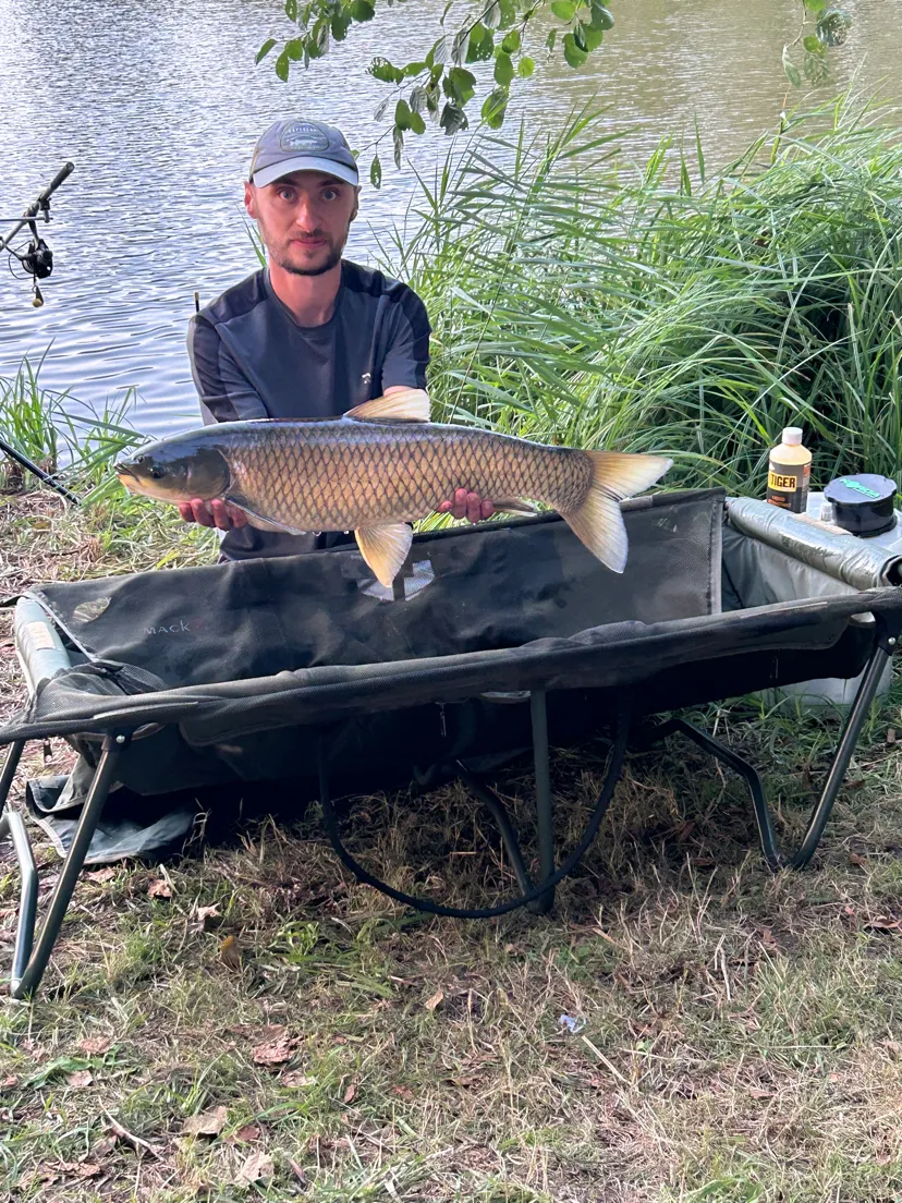Etang de pêche à louer à côté de Reims