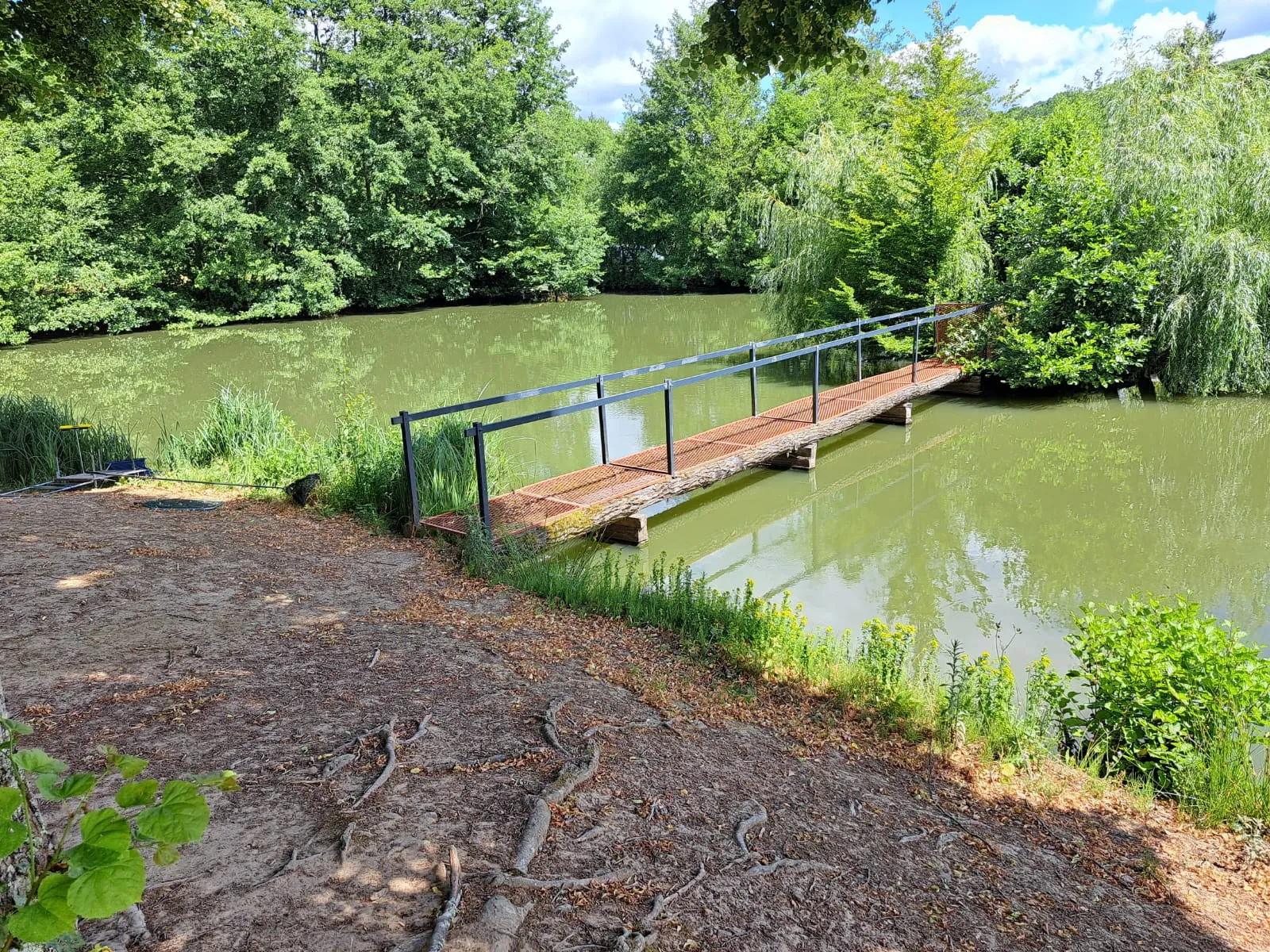 Location étang en Haute-Saône avec maison, eau et électricité et son étang