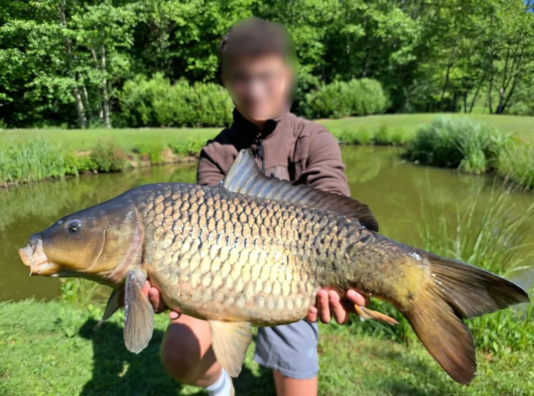 Location étang en Haute-Saône avec maison, eau et électricité et son étang