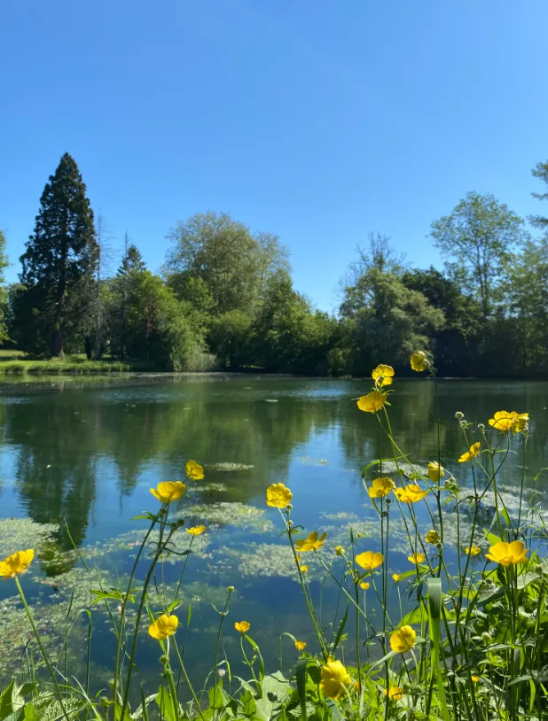 Le Lodge dans le parc d'un château avec accès à ses étangs