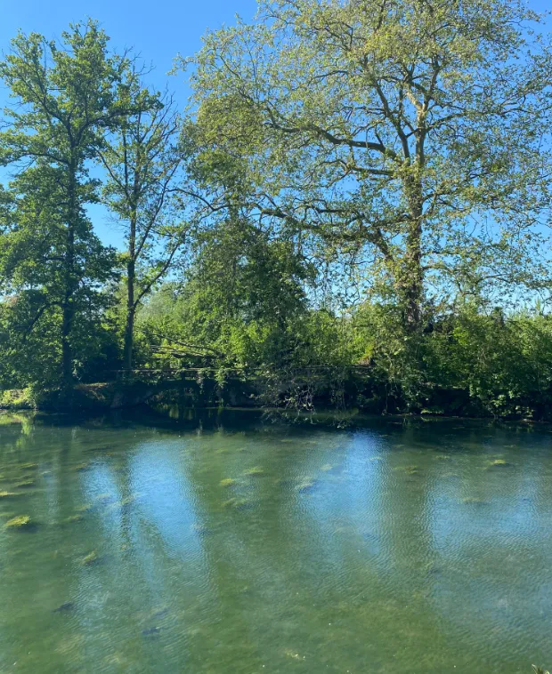 Le Lodge dans le parc d'un château avec accès à ses étangs